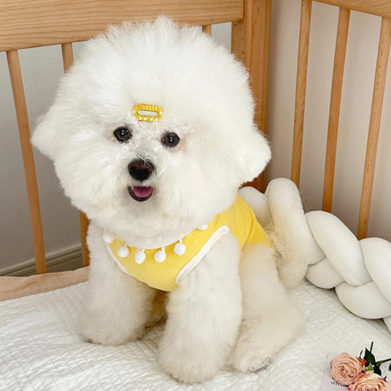 Linda camisa básica para primavera y otoño para mascotas, camiseta para el hogar con cuello medio alto para perros y gatos, Sudadera con capucha para perros pequeños con oso Teddy Schnauzer - imagen 3