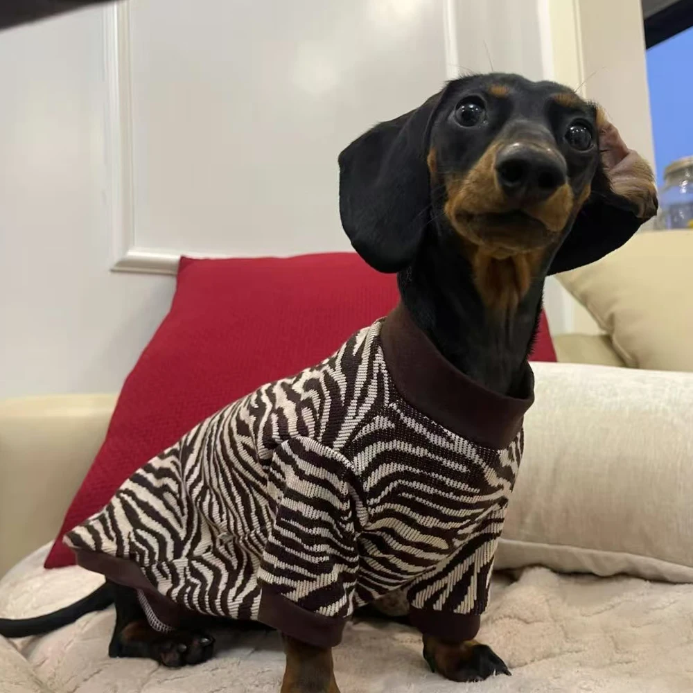 Ropa para perros Wiener, suéter cálido de leopardo para perros salchicha, abrigo suave de manga larga de invierno para perros tejón, disfraces de vacaciones - imagen 2