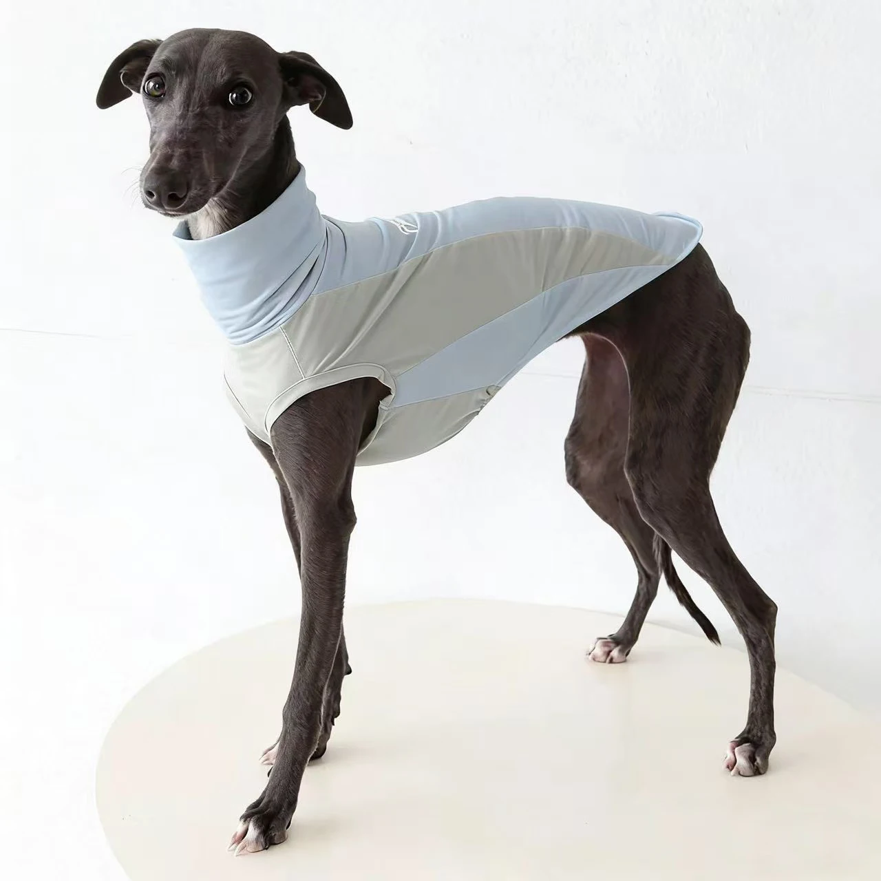 Chaleco transpirable secado rápido para Galgo Italiano y Whippet - imagen 5