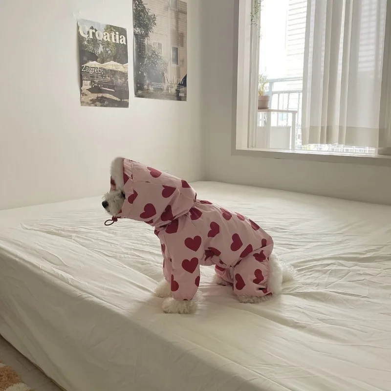 Ins Love-ropa impermeable para cachorros, impermeable, con estampado de nubes y corazones, bonito modelo de perro con capucha, disfraz para perros - imagen 3