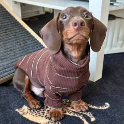 Suéter a rayas cálido y elástico para perro Dachshund