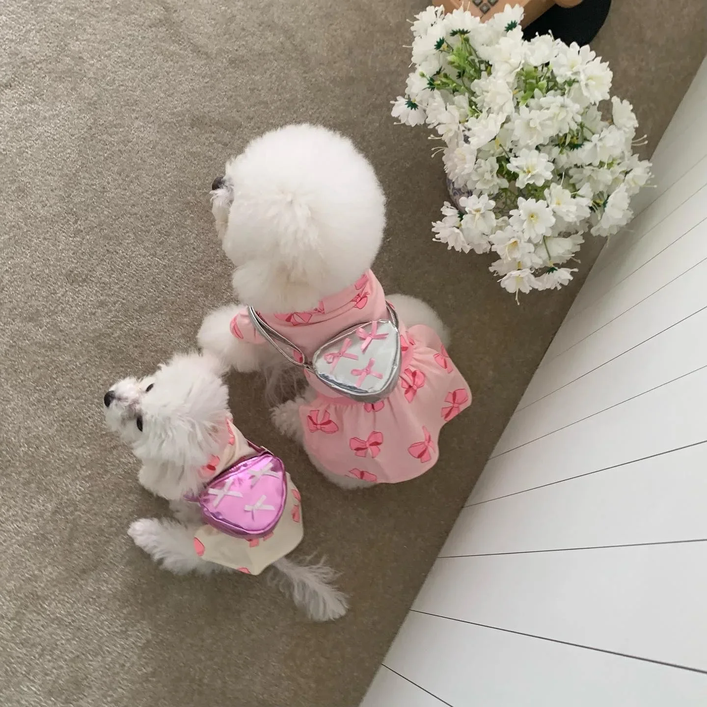 Mochila triangular INS para perro, bolsa de transporte con lazo plateado, bandolera pequeña para perro, gato, bolsas de transporte para caca de perro - imagen 2