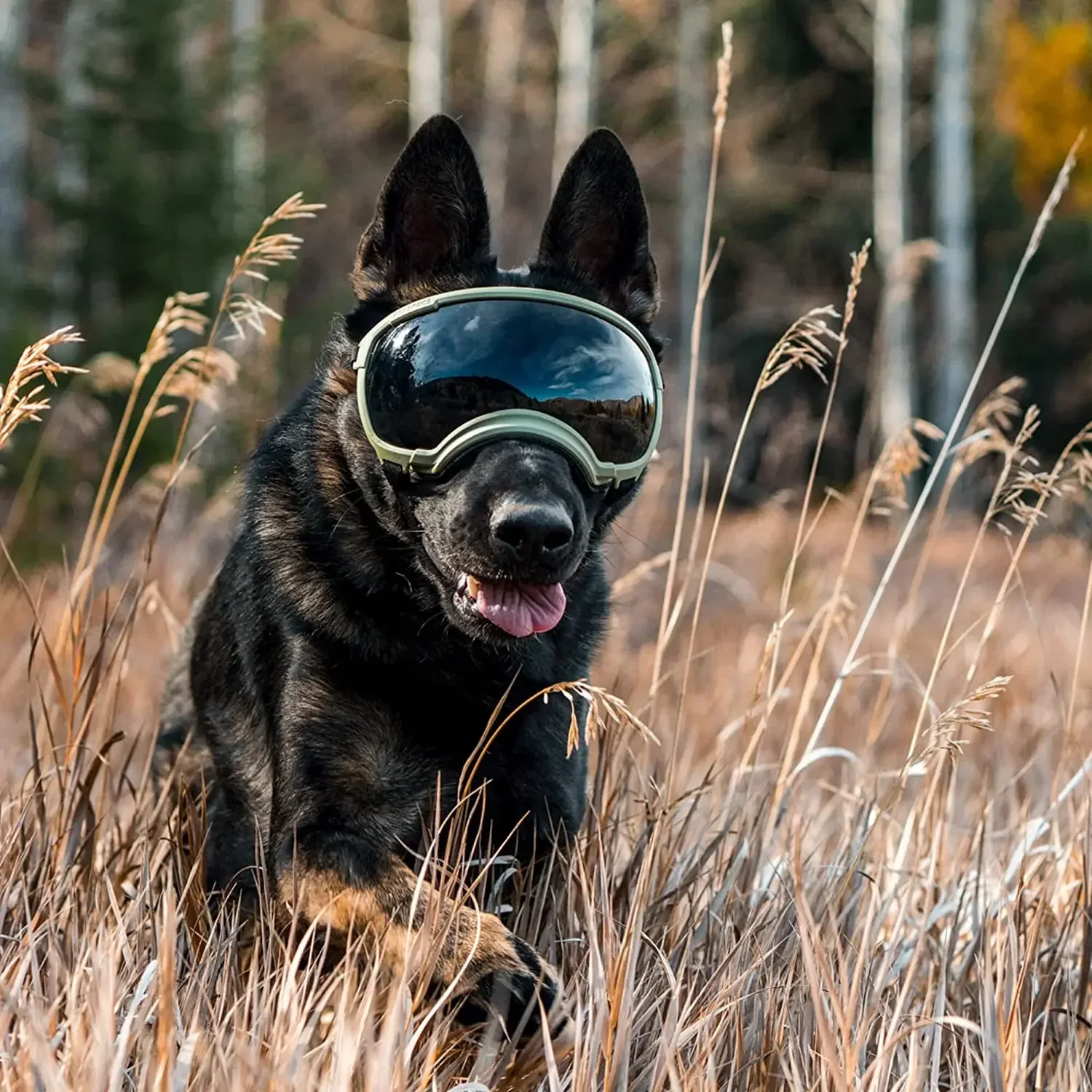 ATUBAN Gafas para perros Anti UV Fuerte resistencia al impacto Ajustable Elástico Cachorro Gafas para perros de razas grandes Gafas de sol transpirables para mascotas - imagen 5