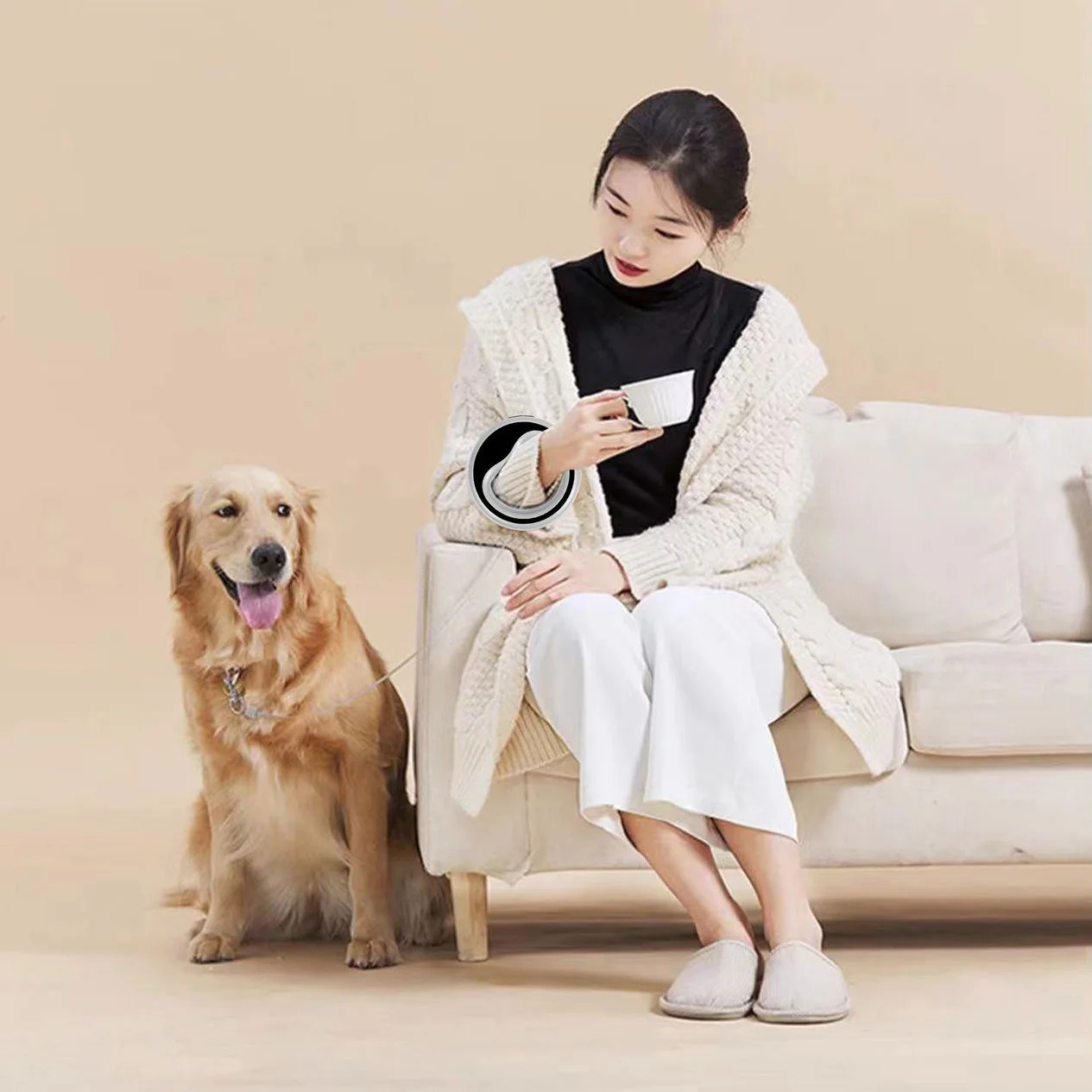 Correa retráctil automática para perros y gatos, accesorios de arnés para caminar al aire libre, suministros para mascotas, 2,5 M - imagen 3