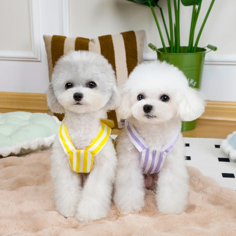 Falda para perro de primavera y verano, vestido de princesa transpirable para mascotas con lazo para perros pequeños y gatos, Yorkies, Pomeranianos maltais, Chihuahuas - imagen 2