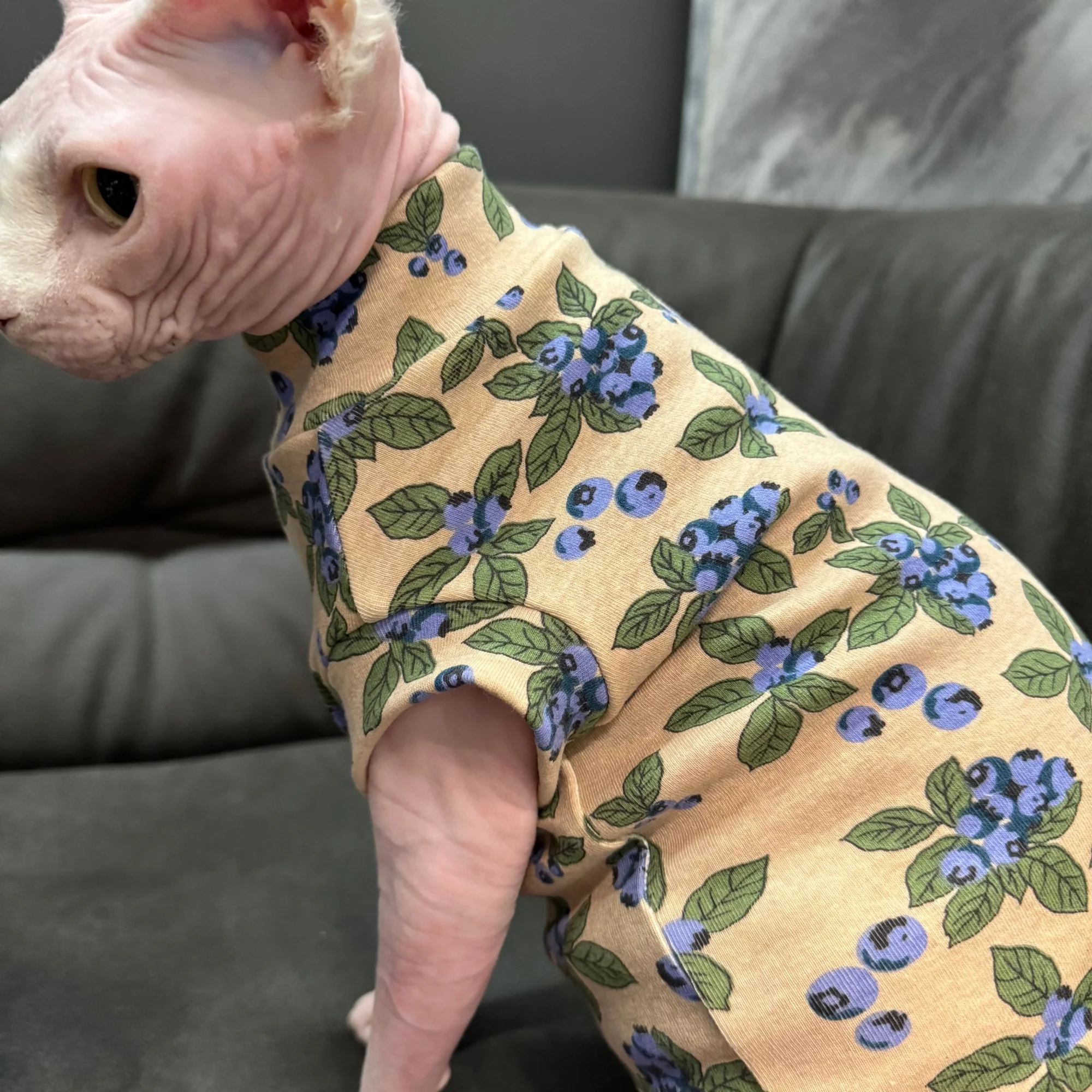 Camiseta de algodón floral para gato en primavera, camiseta base de flores de manga corta verde dulce para gato esfinge en otoño, chaleco suave para gatitos - imagen 3