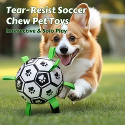Pelota de fútbol para perros – Resistente a mordeduras y muy duradera
