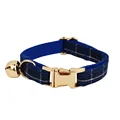 cat collar(13)