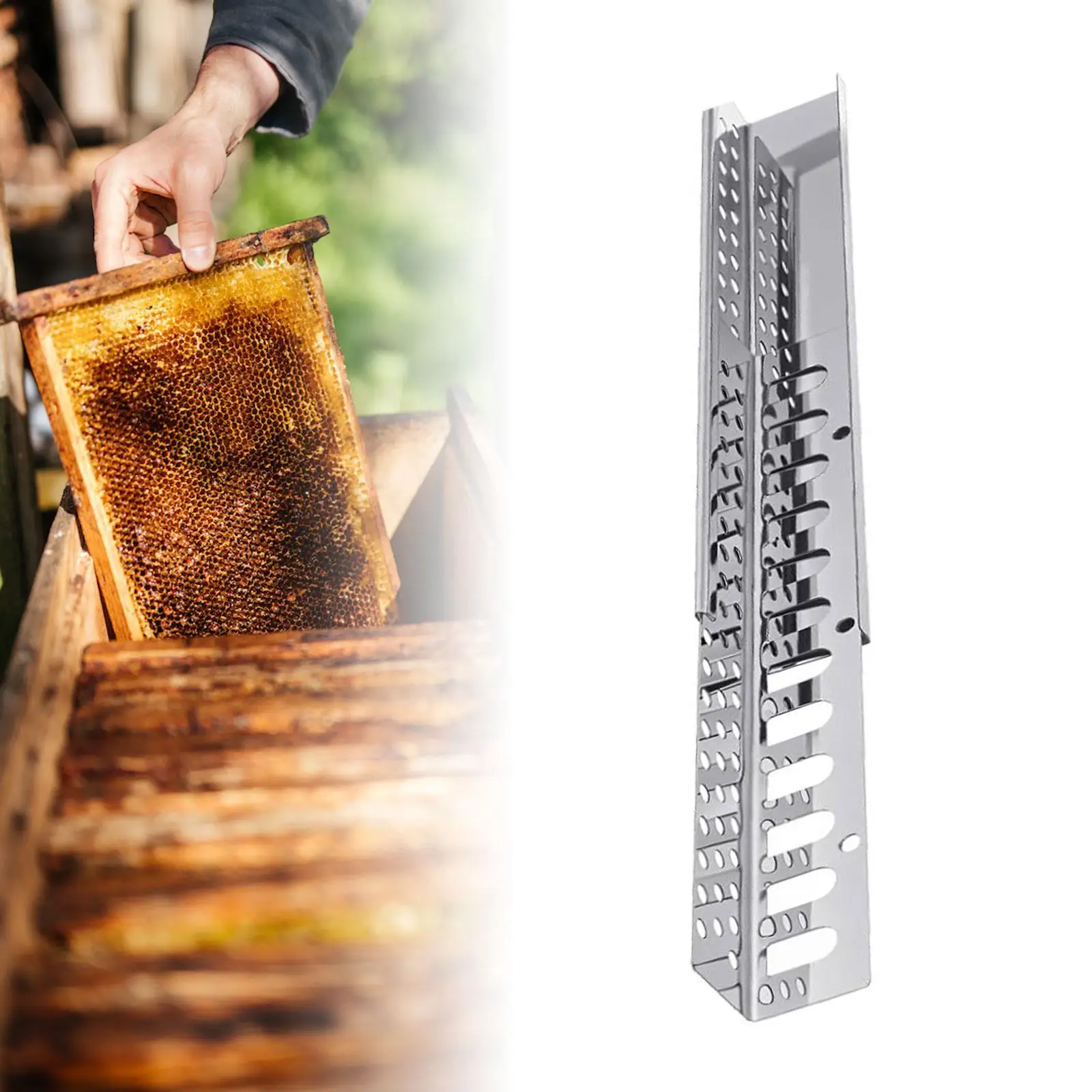 Beehive Entrance Reducer and Guard Sliding Guard Hive Tool for Supplies for 8 or