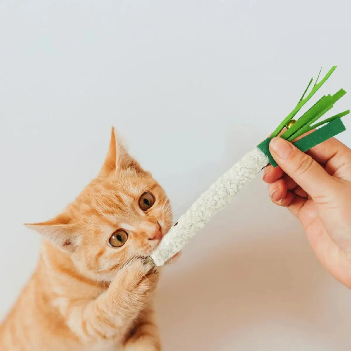 3pcs Simulated Scallion Shape Cat Toys with Natural Silver Vine Stick Pet Pet Chew Toys Cat Teething Products Cat Teasing Toy