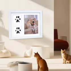 Kit Marco Huellas de Patas para Gatos y Perros - Escritorio DIY