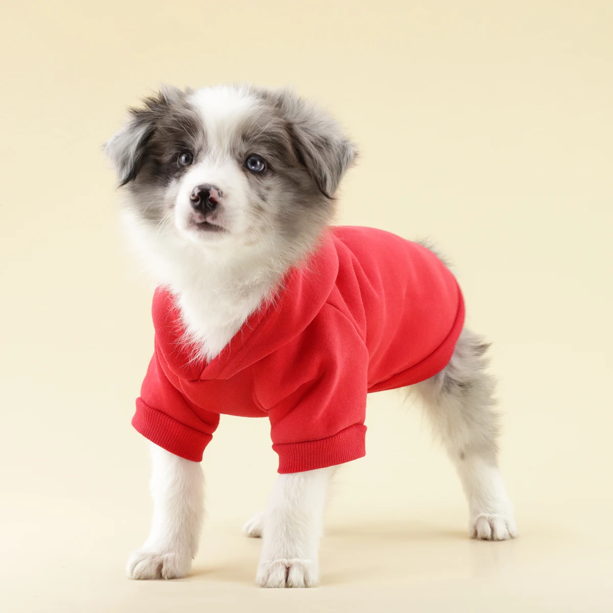PAIAITE-Sudadera con capucha para perro Chihuahua Yorkshire, ropa cálida para mascotas, sudadera para perros pequeños, ropa para cachorros, Invierno - imagen 4