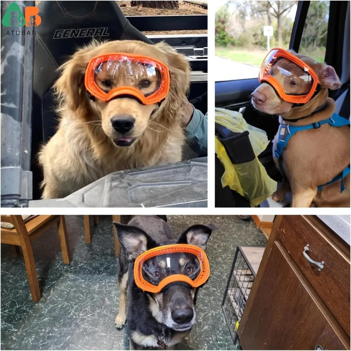 ATUBAN Gafas para Perros, Gafas de Sol Claras para Perros Rango Medio Grande Vista amplia Protección para los Ojos de Perro Correas Ajustables para Conducción Senderismo - imagen 2