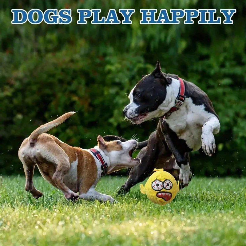 Pelota sonora para perros – Juguete de lanzamiento y entretenimiento - imagen 2