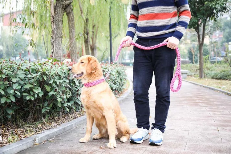 Varios collares tejidos para perros alineados por tamaño