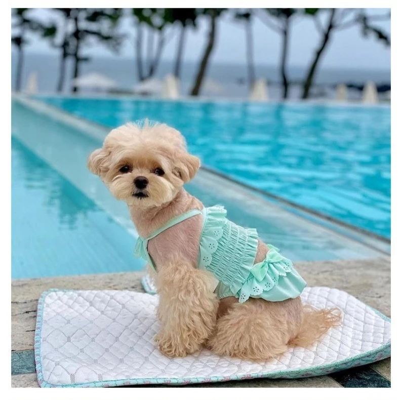 Traje de baño de primavera para mascotas, camisola de una pieza para gatos, chaleco para perros, traje de baño, ropa para gatos + gorro de baño, vestidos para perros pequeños - imagen 5