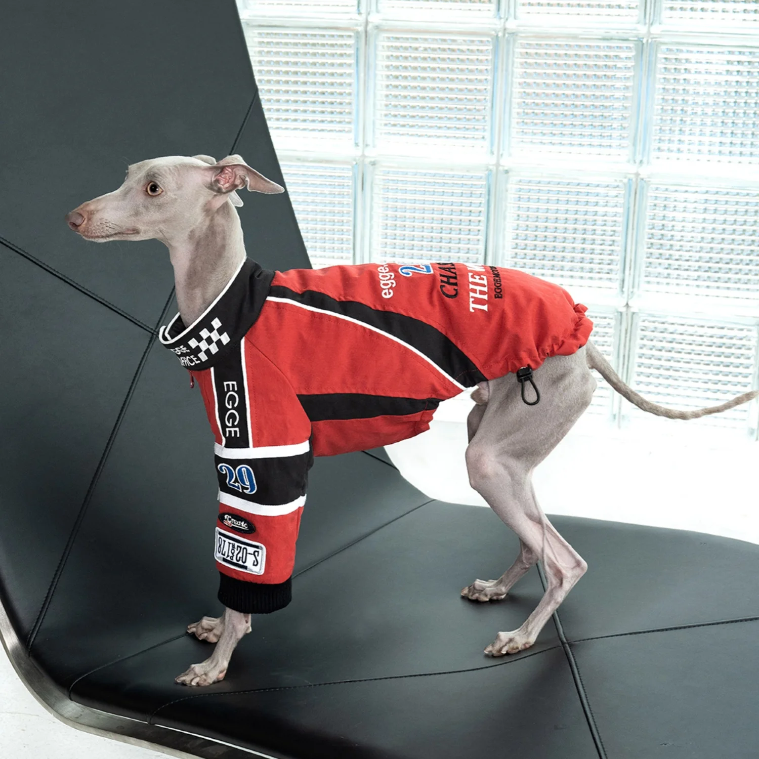 Traje de carreras Retro rojo para perros Chaqueta de algodón bordada de primera calidad para Whippet en otoño invierno abrigo cálido de motocicleta para galgos - imagen 2