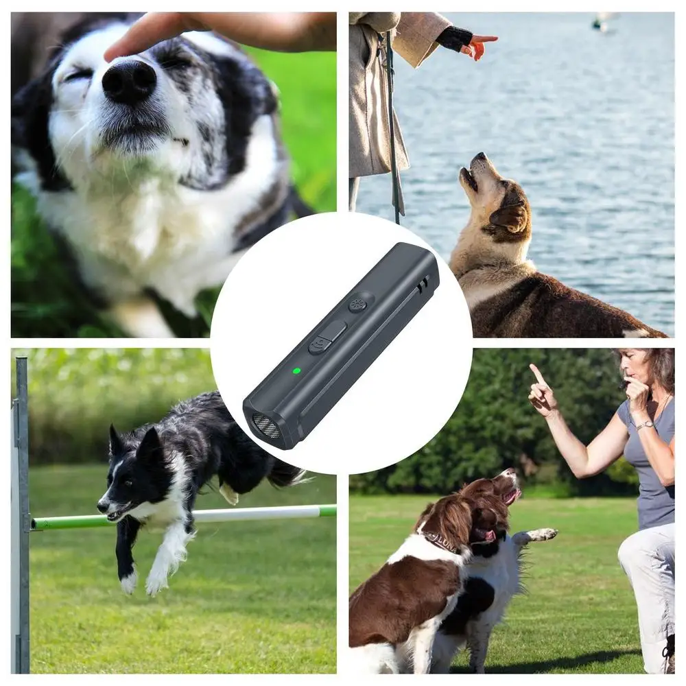 Un collage de perros que realizan trucos con un control remoto