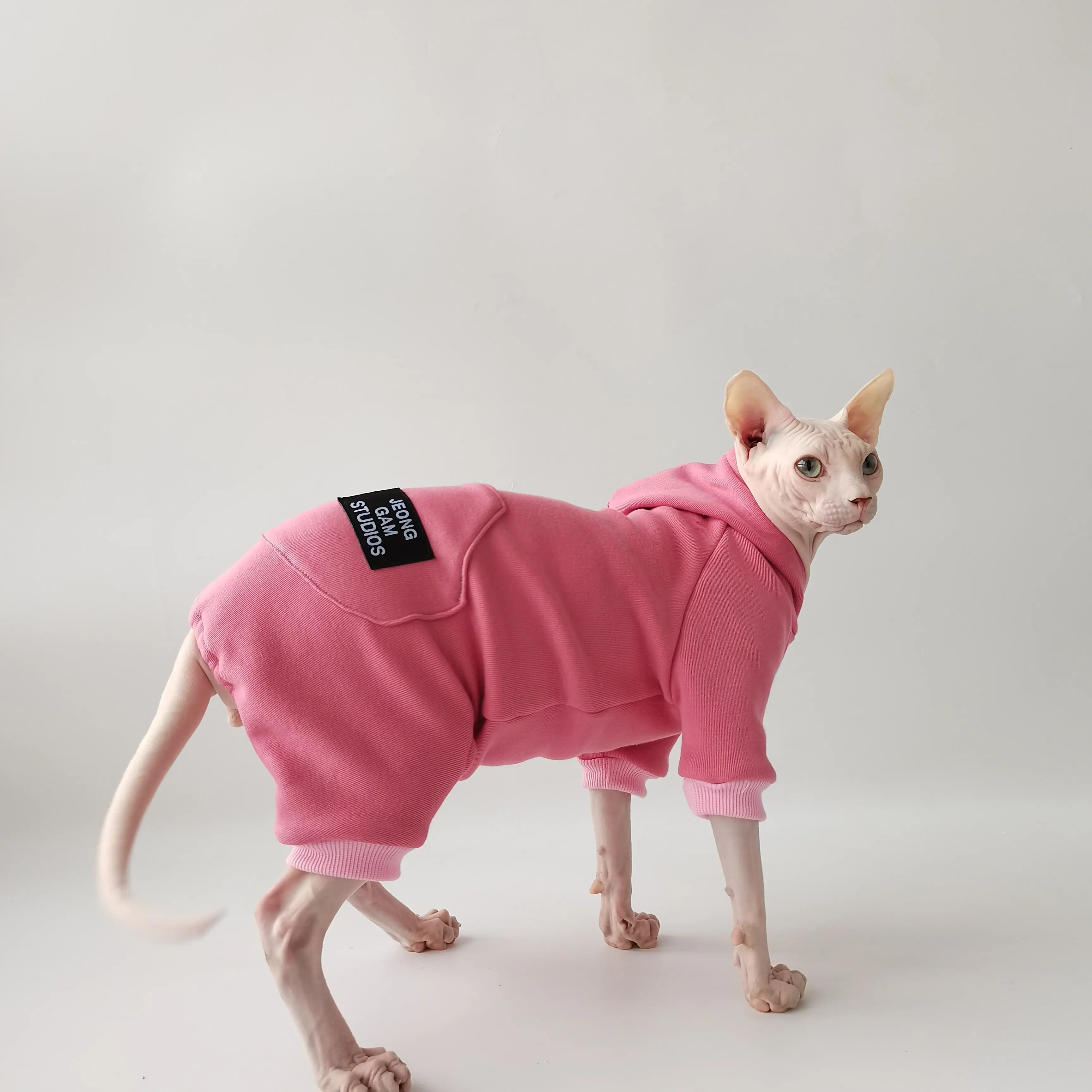Abrigo gatos Sphynx Devon Rex forro polar capucha – Otoño invierno - imagen 2
