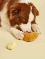 Juguete peluche chirriante forma de pan para perros masticable dental