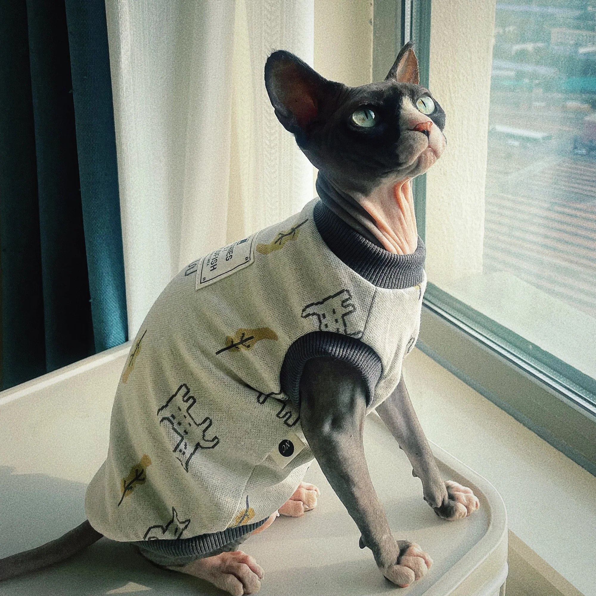 Camiseta de algodón gris elástico de alta calidad para Sphiynx Cat en primavera, chaleco con estampado de gatitos de manga corta, Pajiamas suaves para Devon Rex