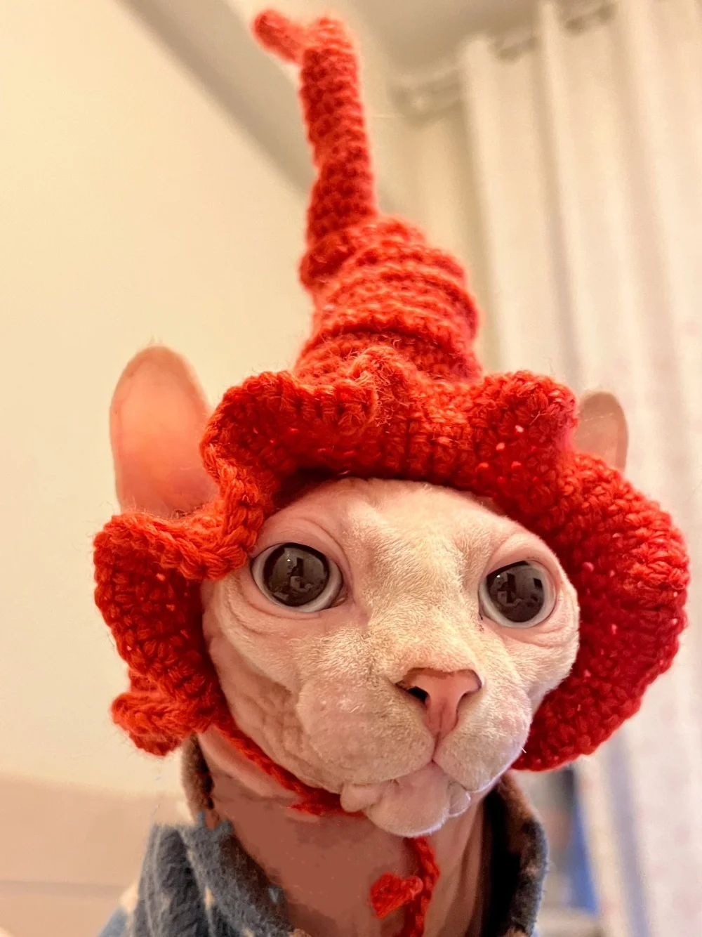 Divertido lindo sombrero de mago mágico de Halloween Navidad Año Nuevo para Sphynx Cat Sombreros de cosplay de lana tejidos a mano largos y puntiagudos para gato sin pelo - imagen 4