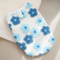 flower blue