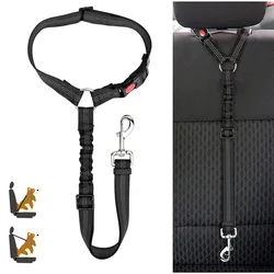 Cinturón de seguridad para perro pequeño en el coche