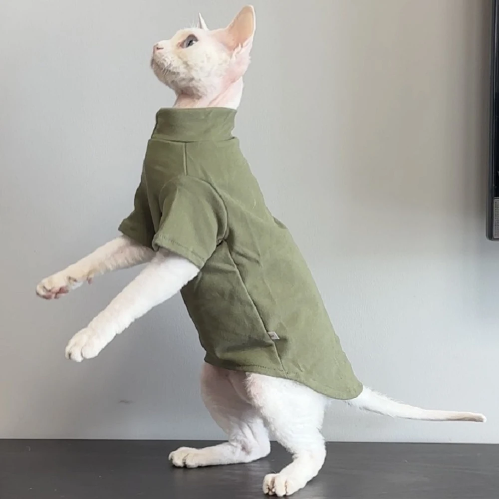 Otoño Invierno gato Sudadera con capucha para gatos sólido mascota gatito ropa Sphynx Maine Coon Ragdoll jerseys ropa para gatos mascotas camisas - imagen 3