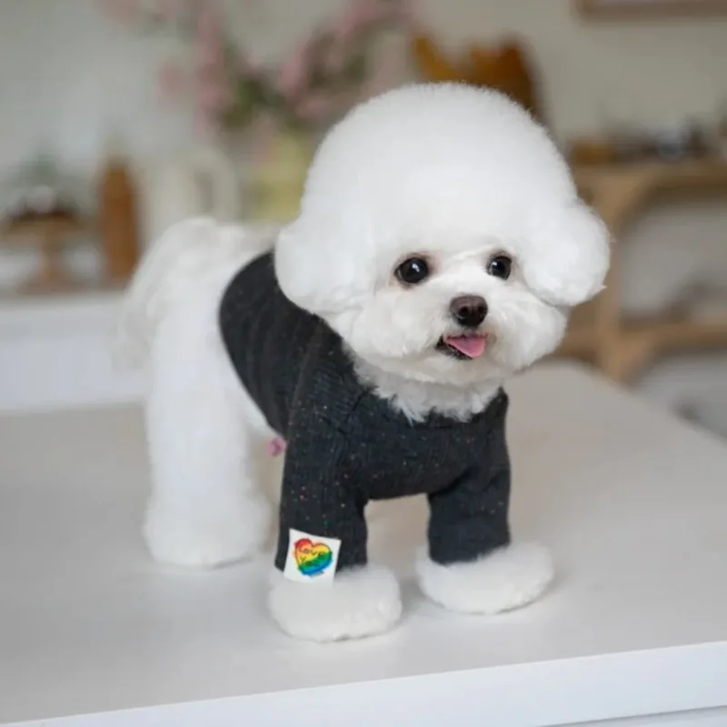 Ropa Love para perros, moda de invierno, ropa interior cálida tejida para mascotas, falda en T de dos patas, ropa para cachorros para perros pequeños - imagen 5