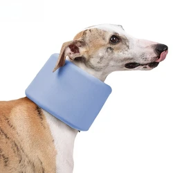 Collar isabelino recovery para perros y gatos – Evita que se lama heridas