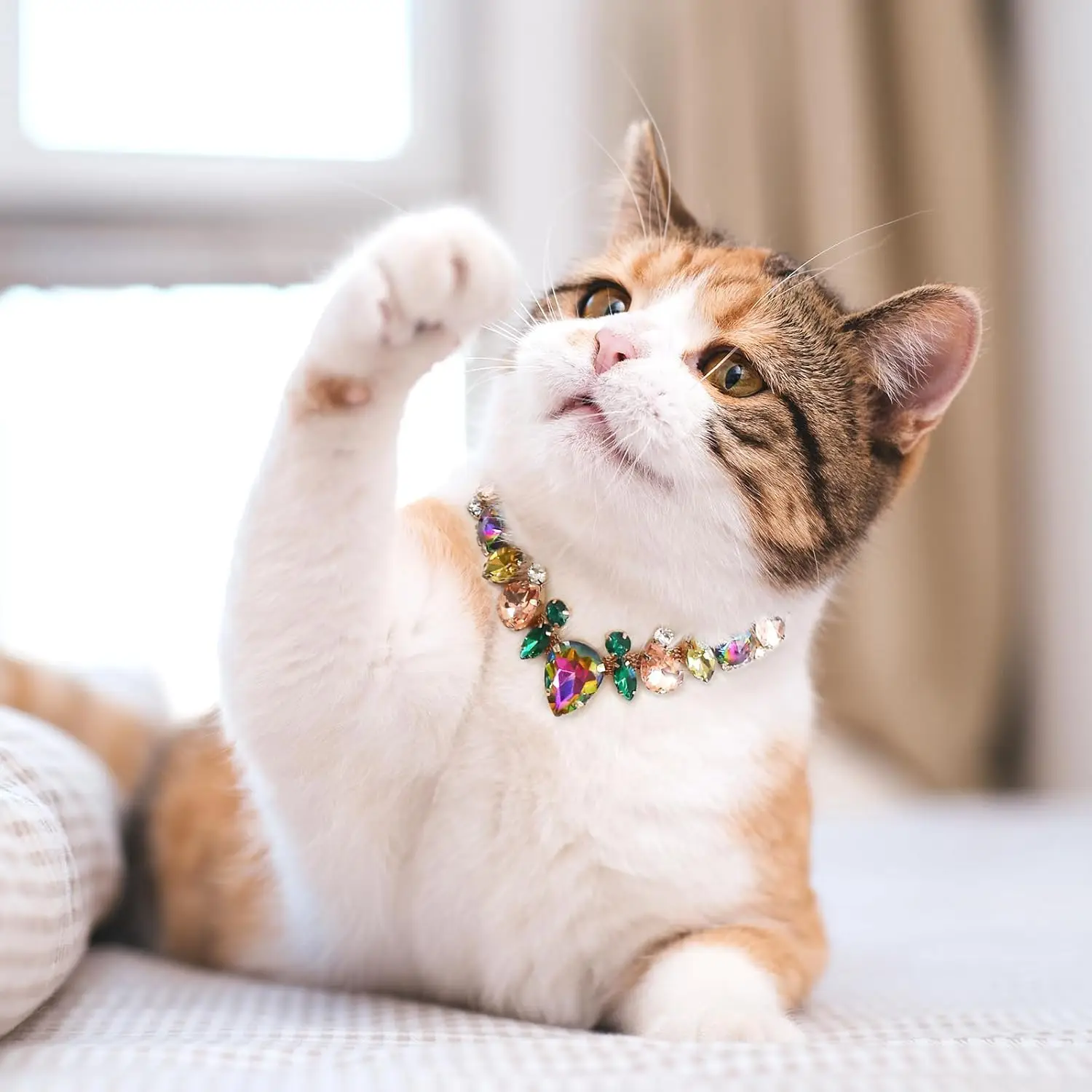 Collar de lujo con piedras preciosas para perros y gatos, Collar de cadena dorada, accesorios de joyería para mascotas, Collar de diamantes para cachorros pequeños y medianos - imagen 5