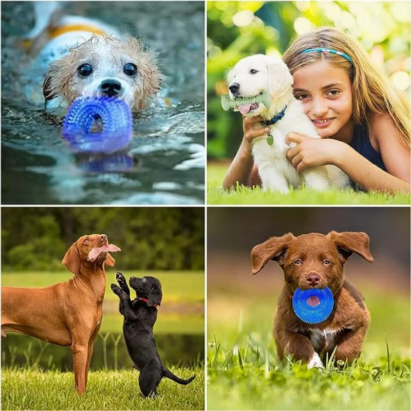 3/6 Uds. Juguete para mascotas resistente a las mordeduras, cepillo de dientes, hueso, juguete para perros resistente, juego interactivo para cachorros, juguete de goma para masticar para cachorros - imagen 4
