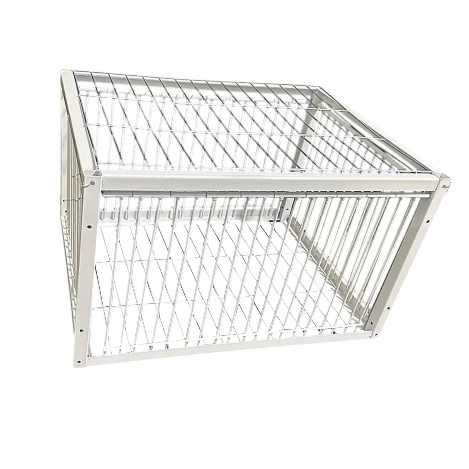 Pigeon Bird Trap Cage Automatic Pigeon Collection for Chicken Sparrows Feral