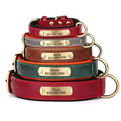 Collar de cuero identificativo para perro – Placa grabada