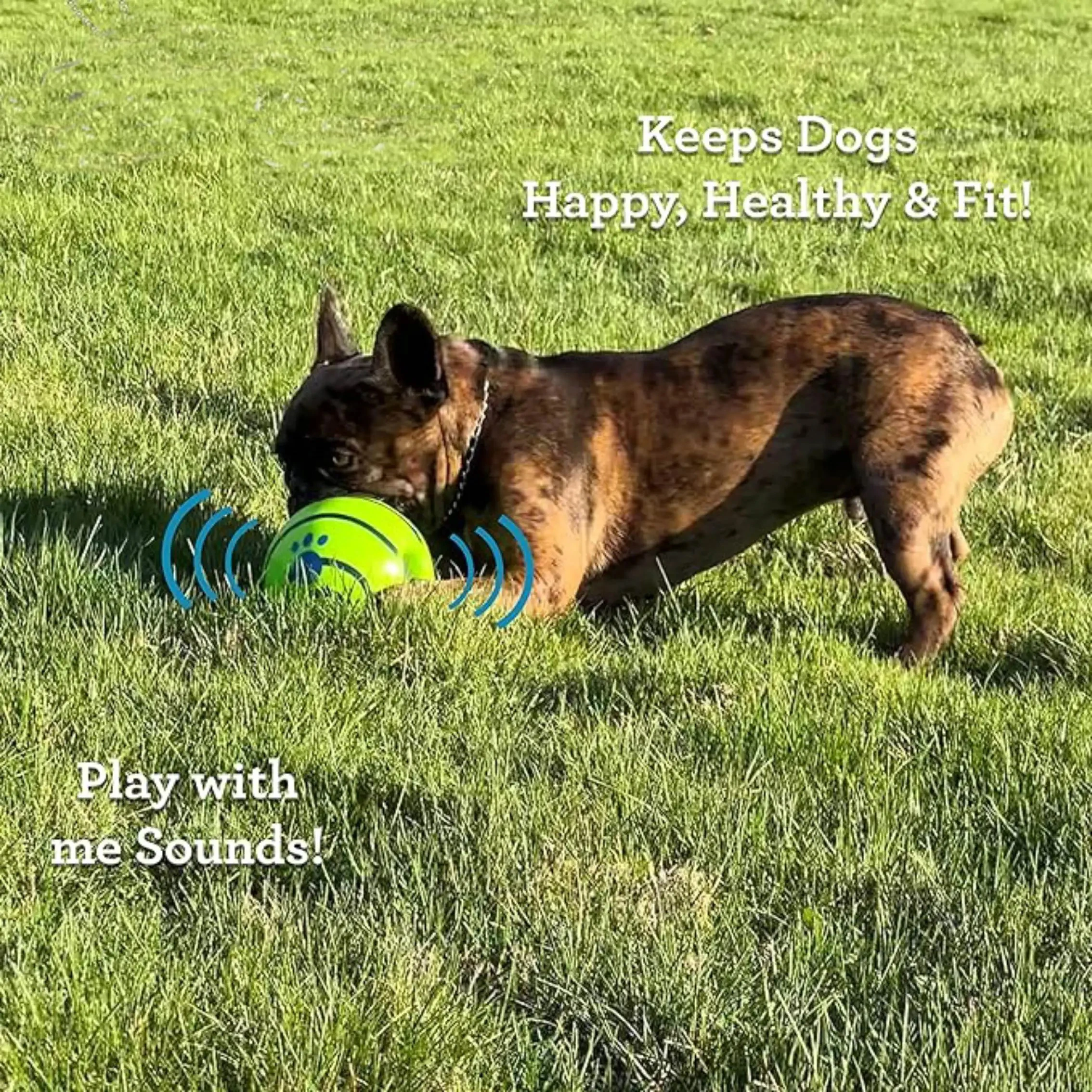 Pelota interactiva para perros, juguete para perros, sonidos divertidos cuando se enrolan o sacude las mascotas juegan lo mejor como se ve en la televisión - imagen 5