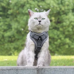 Arnés reflectante transpirable para gatos y perros con correa integrada