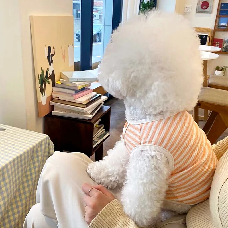 Chaleco fino para perro, chaqueta púrpura para gato, Bichon Teddy, ropa transpirable, ropa de punto a la moda, suministros para mascotas, accesorios para primavera y verano - imagen 4
