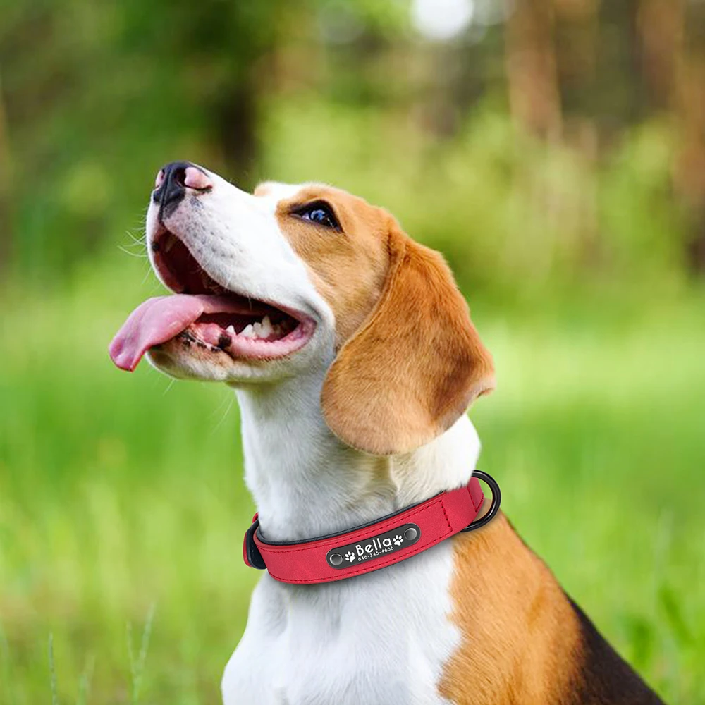 Collar de perro personalizado, collares de cuero PU para perro, Collar de pata con nombre de mascota grabado gratis, acolchado suave para perros pequeños, medianos y grandes - imagen 5