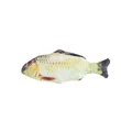 Crucian carp