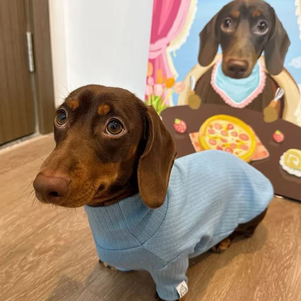 Abrigo suave manga larga para perros pequeños y medianos Dachshund