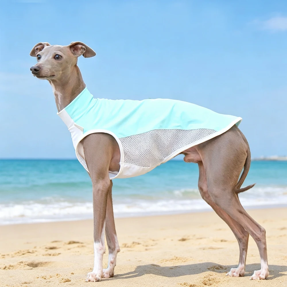 Chaleco transpirable protección solar para Whippet y Galgo Italiano