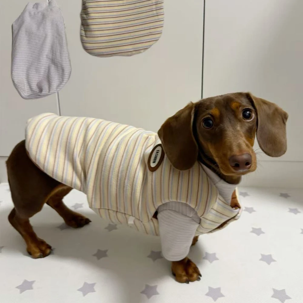 Chaqueta de invierno a rayas para perro dachshund - cálida y cómoda