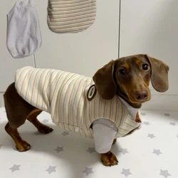 Chaqueta de invierno a rayas para perro dachshund - cálida y cómoda