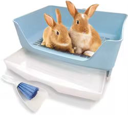 Caja de arena grande esquina con cajón para conejos, hámster y hurones