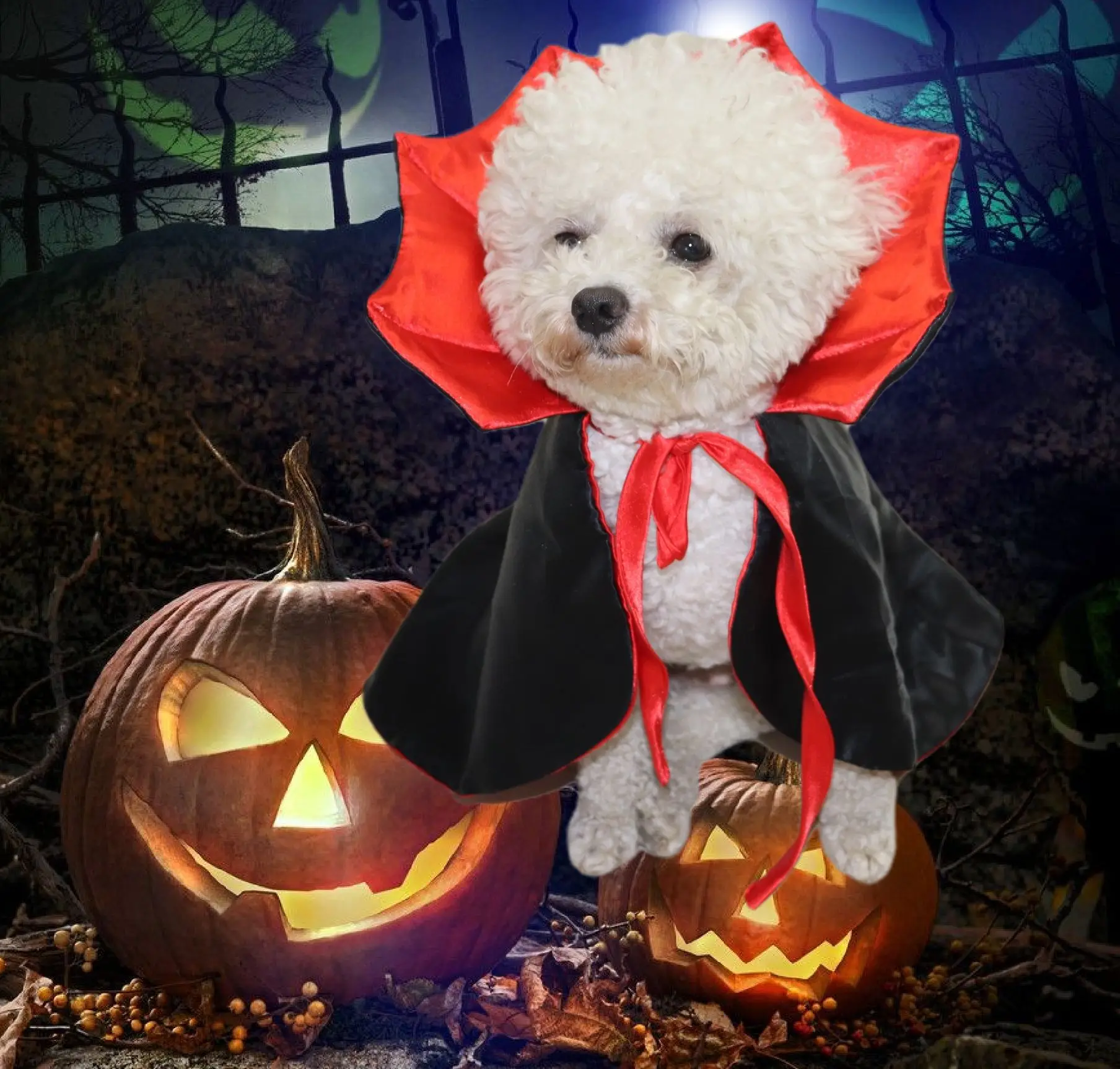 Capa de Navidad para Halloween para mascotas, sombrero, traje de vacaciones, transformación de perro, vestido de Navidad, ropa para mascotas, fiesta de año nuevo, Disfraces para mascotas - imagen 2