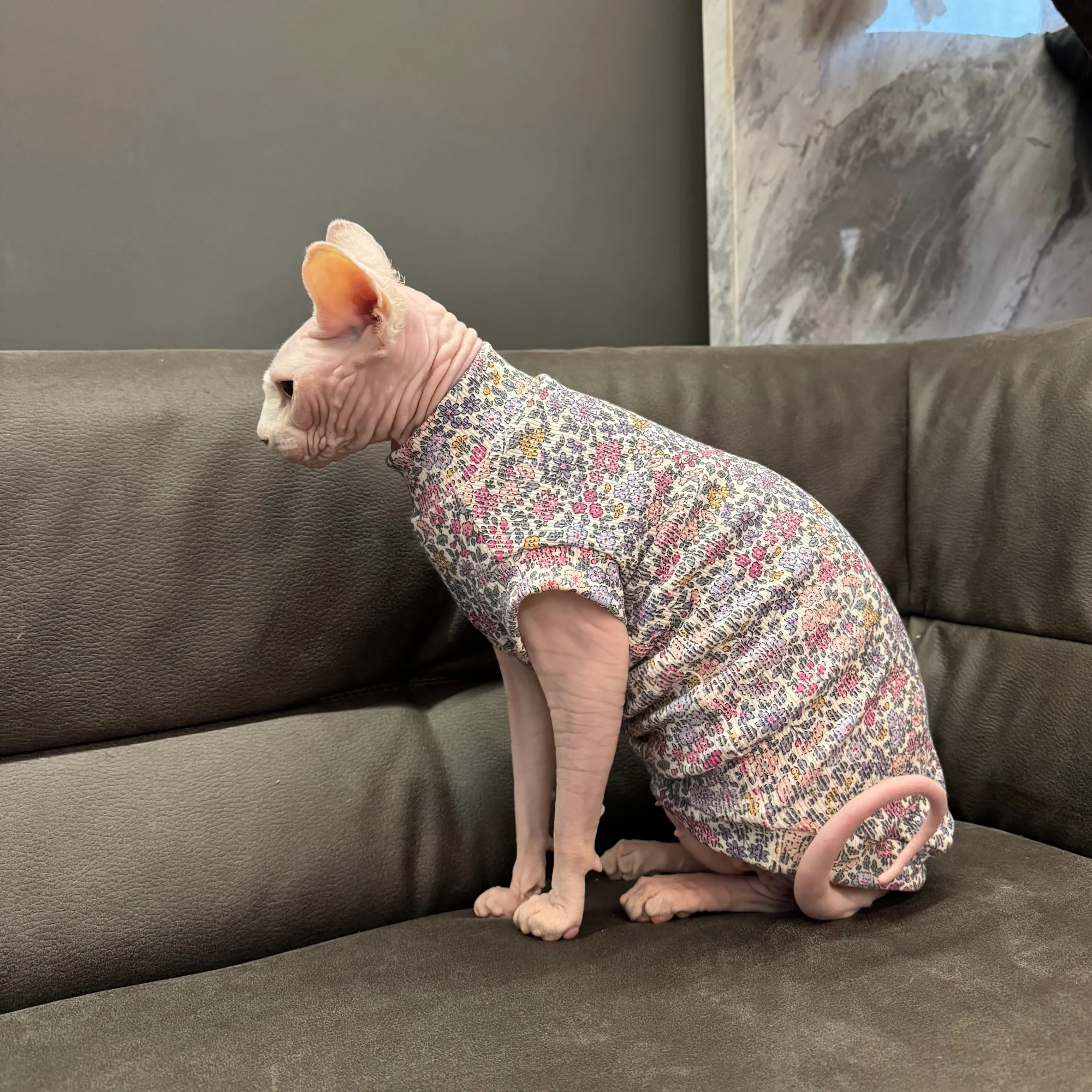 Chaleco suave de algodón floral para gatos Sphynx y Devon Rex