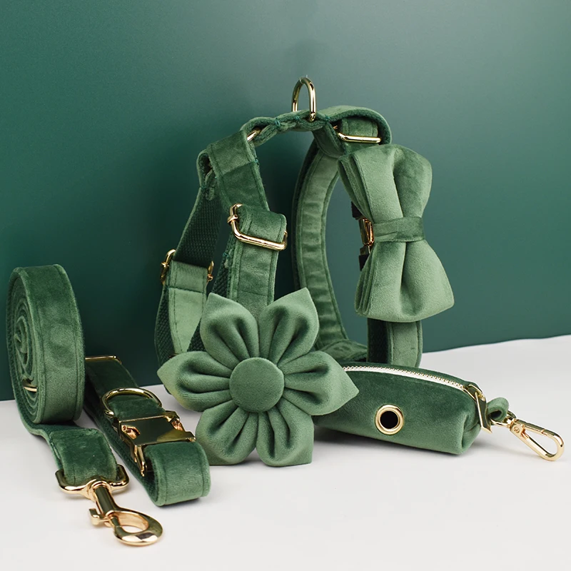 Conjunto de Collar y correa de terciopelo para perros, placa con grabado personalizado, suministros para mascotas, color verde bosque, 39