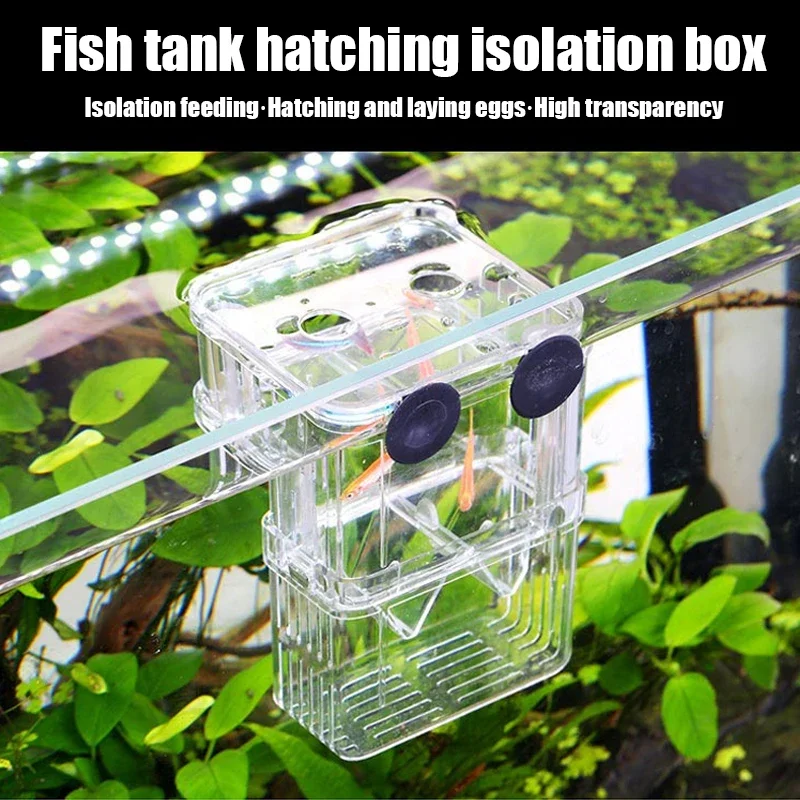 Caja de cría e incubadora para acuario peces Betta bebés y camarones - imagen 4