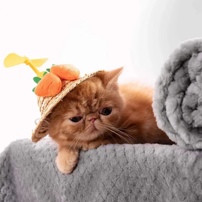 Mantas peludas suaves y cálidas para cachorros, perros pequeños y medianos, forro polar, gatitos, gatos, mantas de felpa para cama, sofá, manta, traje para invierno - imagen 4